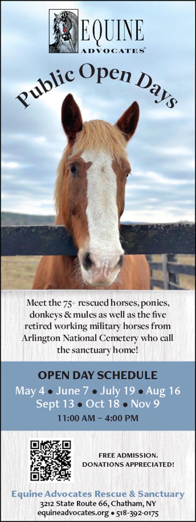 Equine Advocates Rescue and Sanctuary